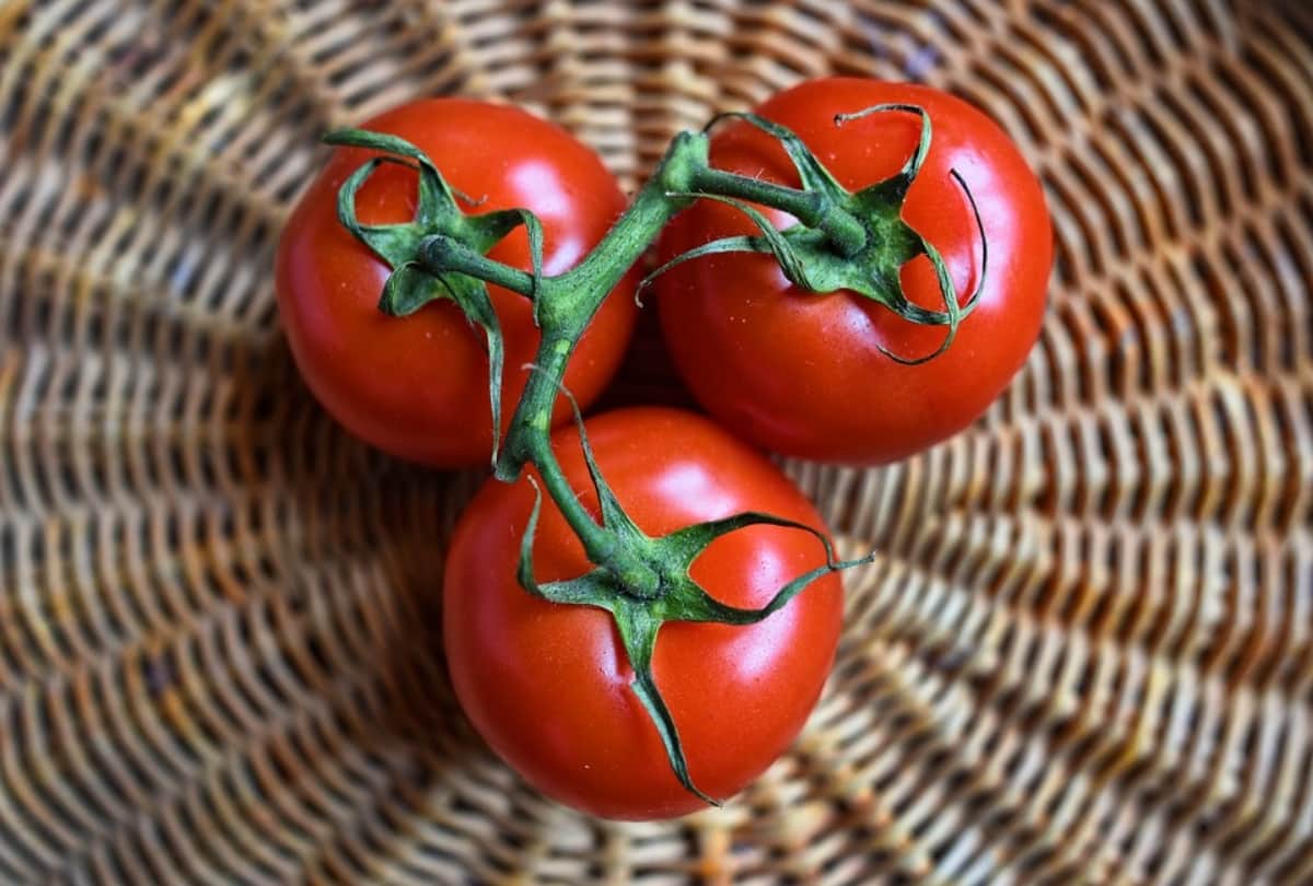 Amazing Benefits of Tomato for hair
