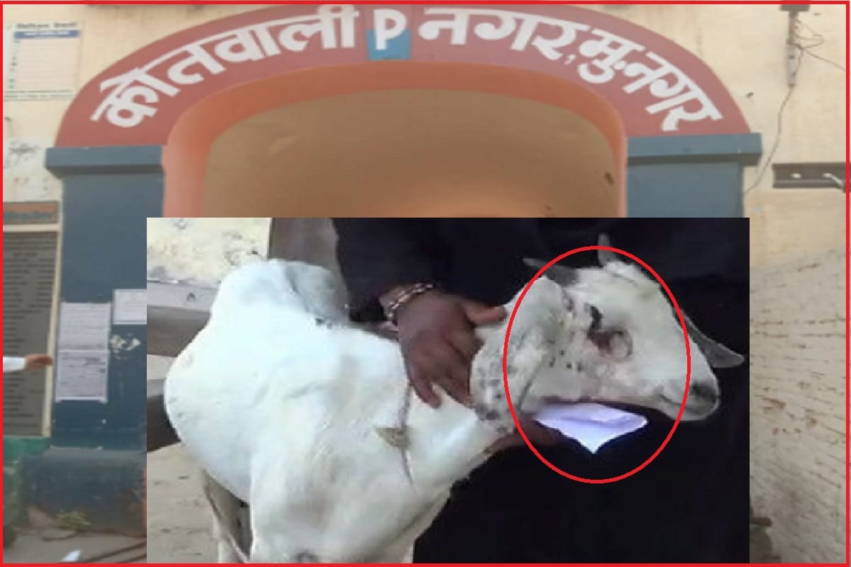 A woman reached police station with injured goat in Muzaffarnagar at Uttar Pradesh