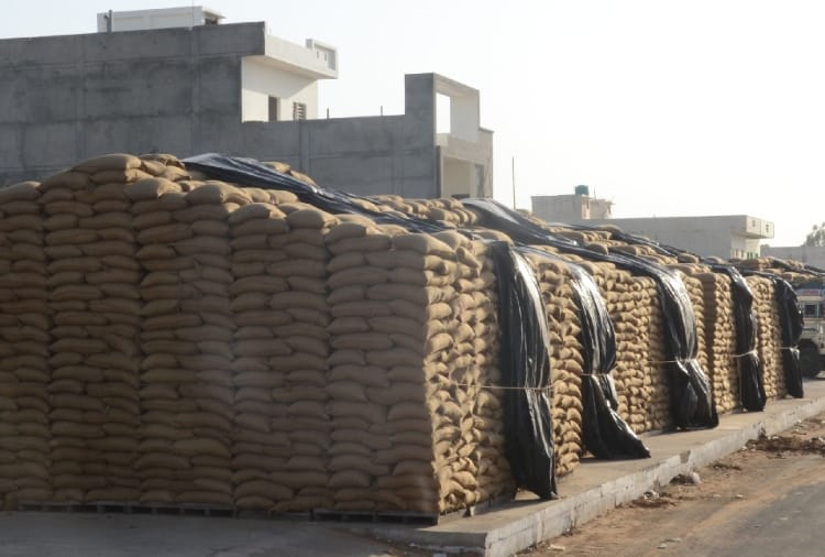 Millions of metric tons wheat lying in the open in Haryana