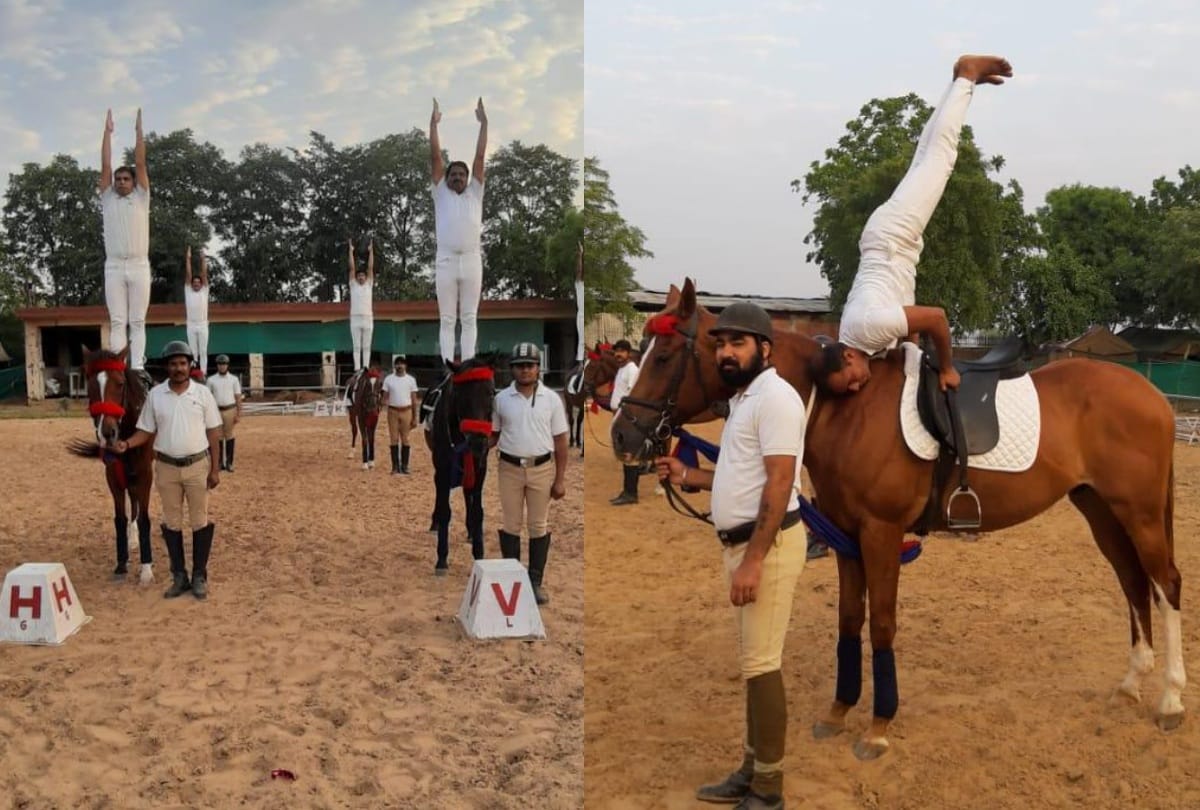 International Yoga Day 2019 BSF equestrian team performs Yoga on horsebacks at BSF camp Gurugram