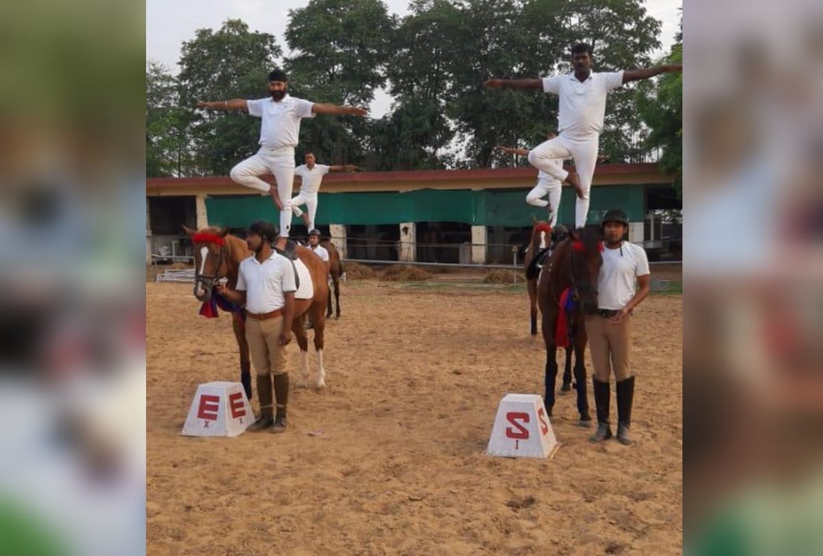 International Yoga Day 2019 BSF equestrian team performs Yoga on horsebacks at BSF camp Gurugram