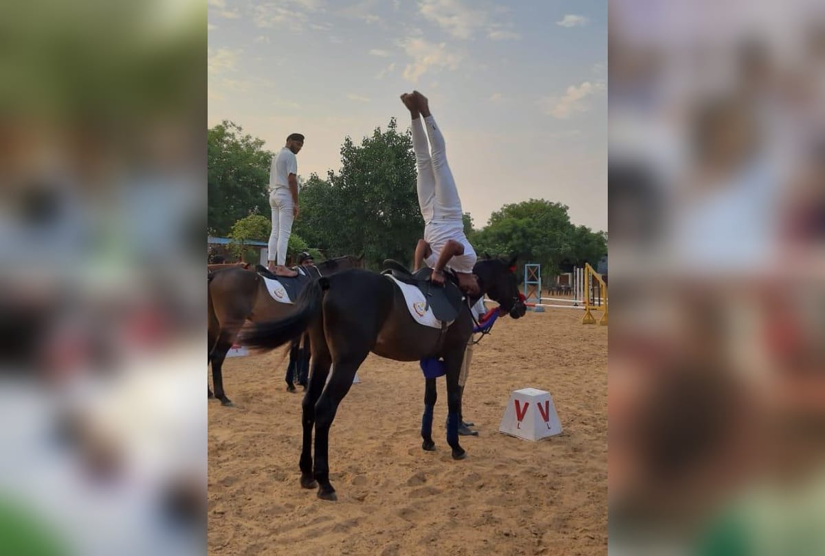 International Yoga Day 2019 BSF equestrian team performs Yoga on horsebacks at BSF camp Gurugram