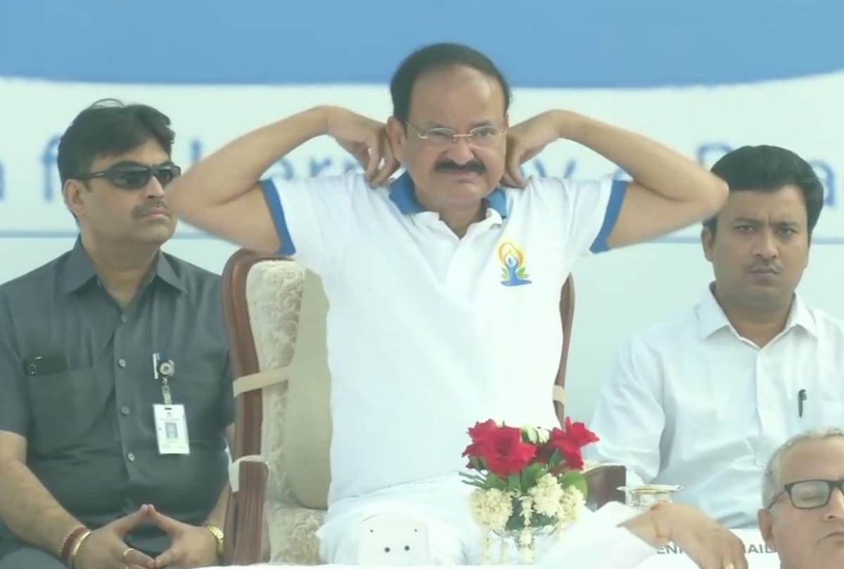 International Yoga Day 2019 see photos smriti irani modi rajnath singh gambhir others doing yoga