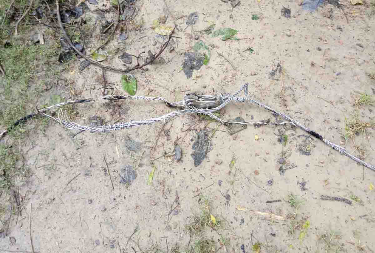 farmer died due to electricity current