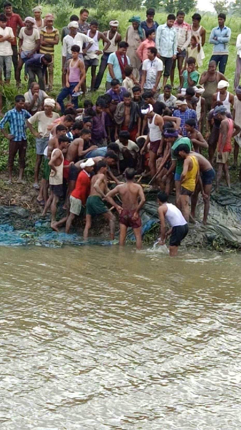 crocodile eaten child