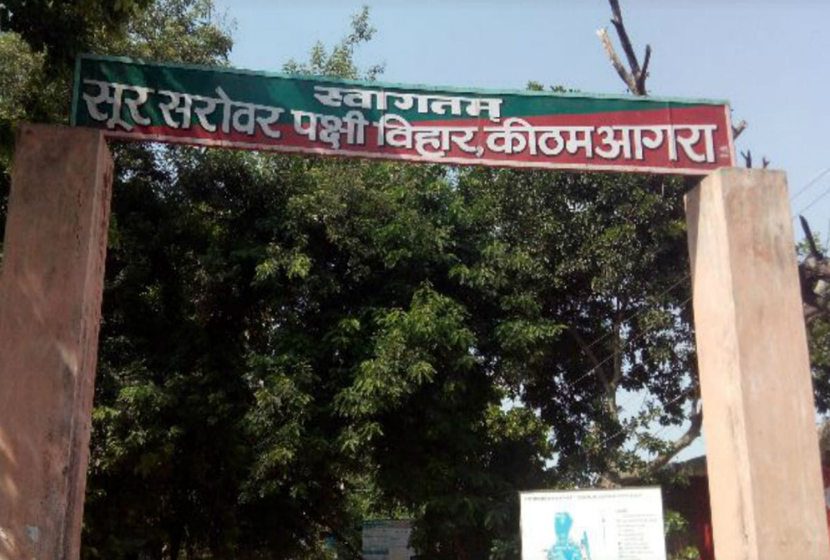 Migratory birds returned due to rising temperature in agra