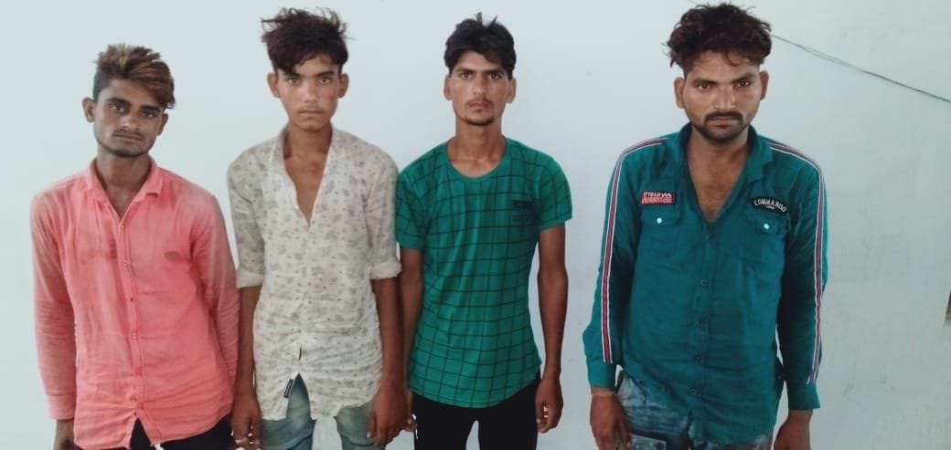 Four people arrested in an attempt to kill cattle