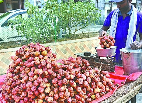 बाजार में छाने से पहले ही कम दिखने लगी लीची