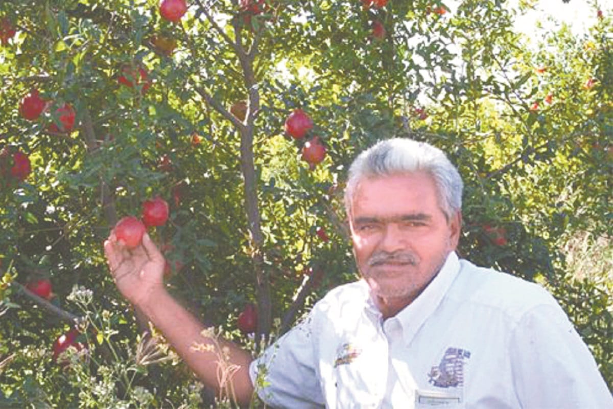 Story of Padma Shri Award winner farmer Genabhai Dargabhai Patel