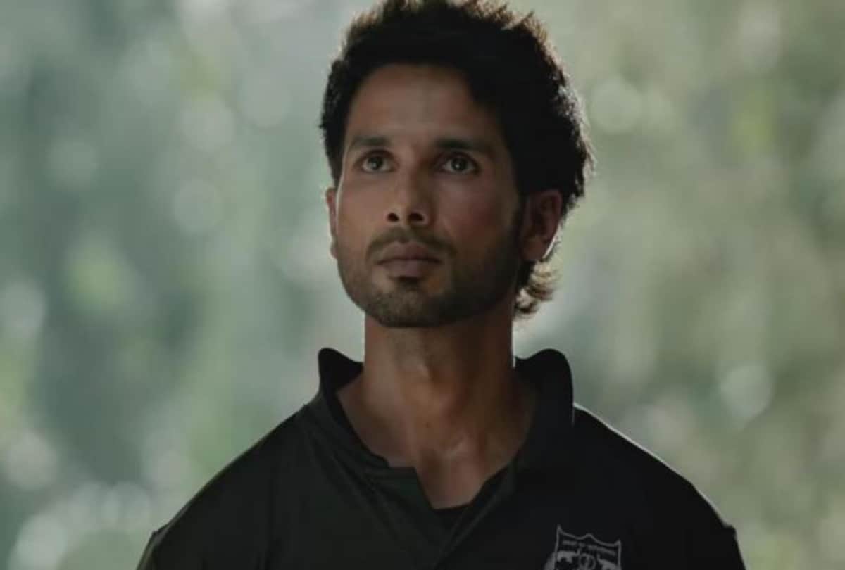 Shahid kapoor Kiara advani Starrer Kabir Singh Day 5 Total Box office Collection