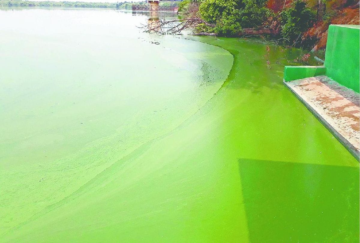 Radioactive water became difficulty in Japan