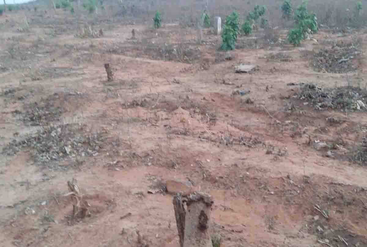 animal s death in ranipur wild wildlife sanctuary