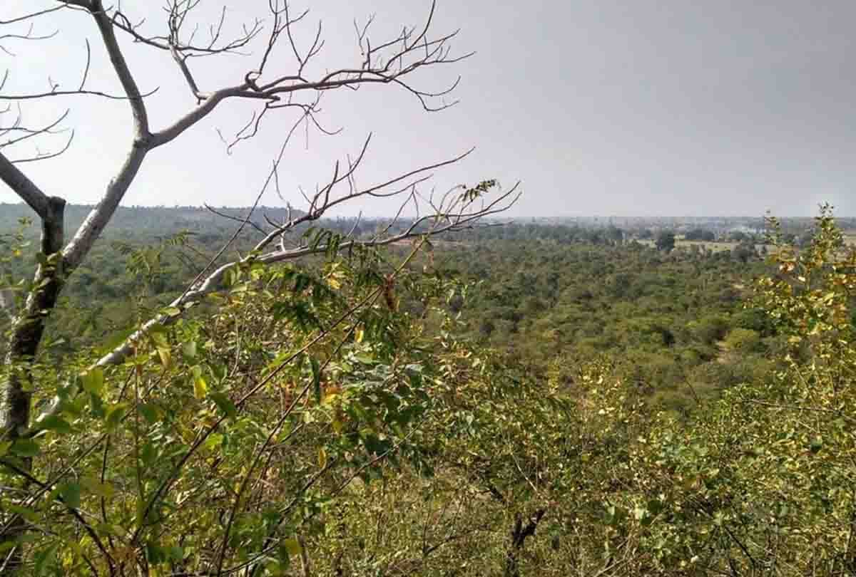 animal s death in ranipur wild wildlife sanctuary