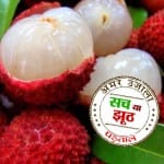 लीची