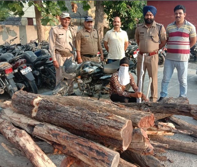 Well with wood and two guns, smugglers