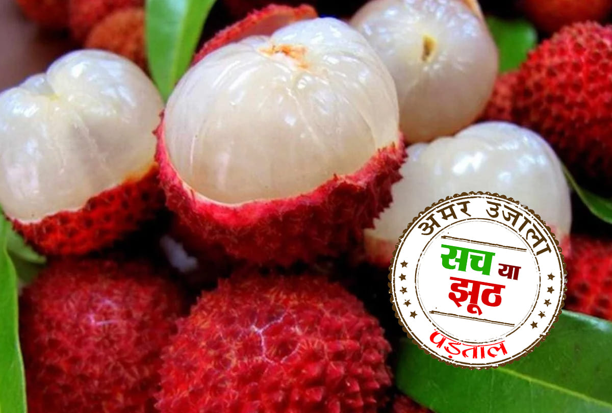 Muzaffarpur children eat lychee cause death due to acute encephalitis syndrome and chamki bukhar