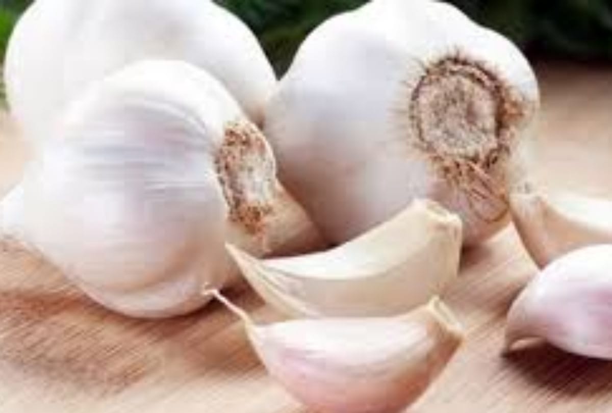 Himachali garlic demand in abroad