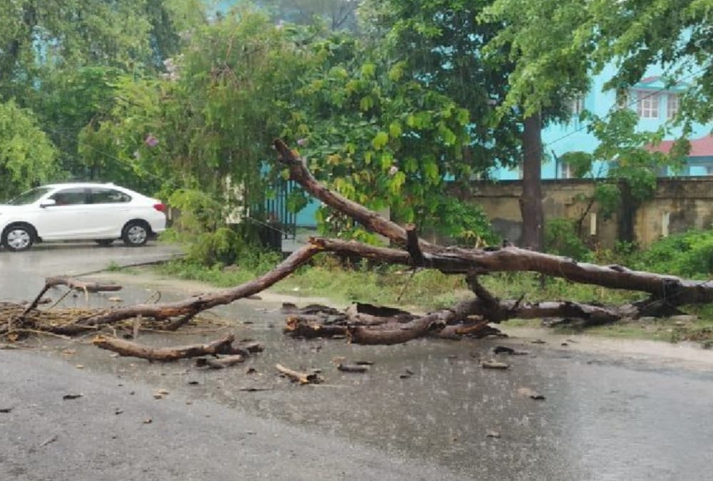 Monsoon 2019 in Uttarakhand Rivers water level high after Rainfall and one killed