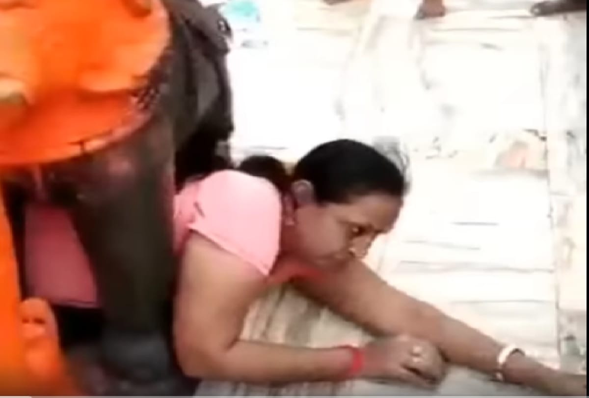 woman stuck under elephant statue video viral on social media