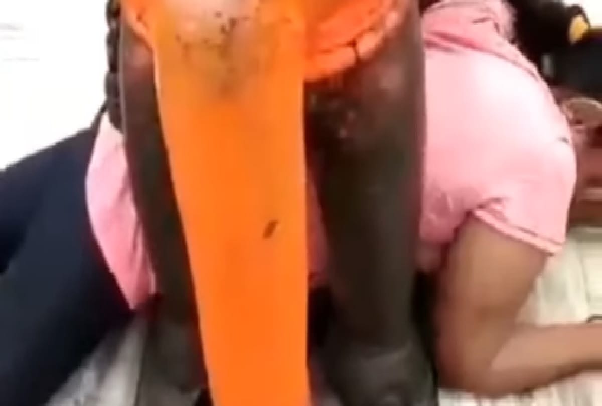 woman stuck under elephant statue video viral on social media