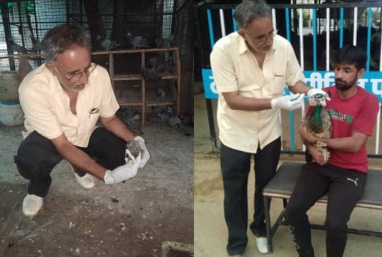 Unique Animal Lover Jagdish Malik Profile Story