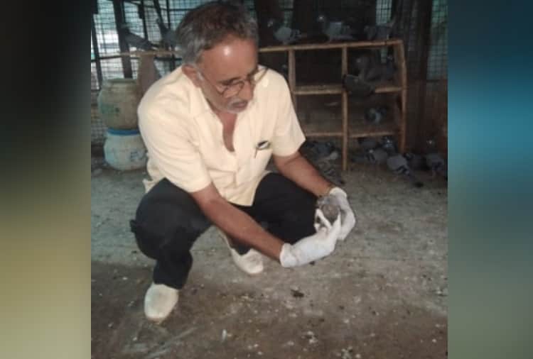 Unique Animal Lover Jagdish Malik Profile Story