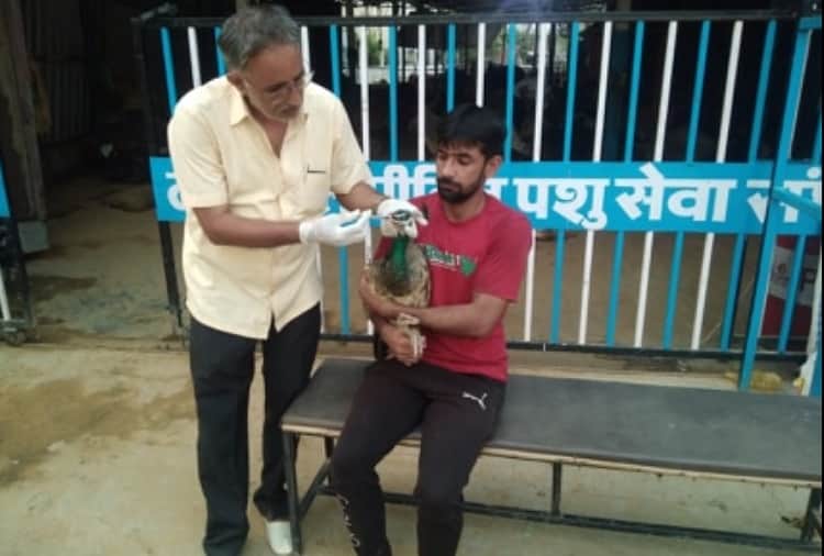 Unique Animal Lover Jagdish Malik Profile Story