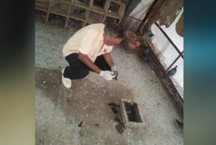 Unique Animal Lover Jagdish Malik Profile Story