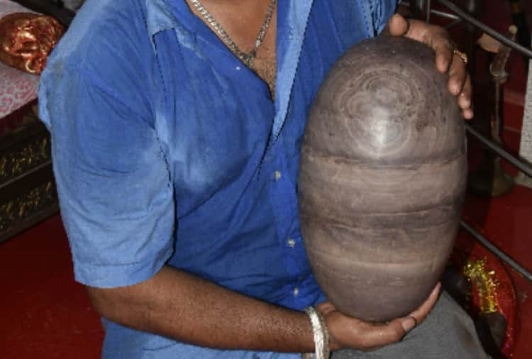 Five Shivalinga found in Punjab's Ludhiana during digging