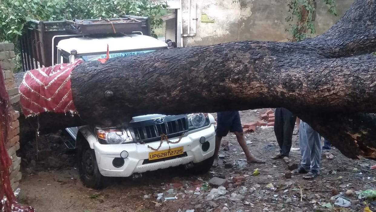 Rain accompanied by strong wind, dropped trees,