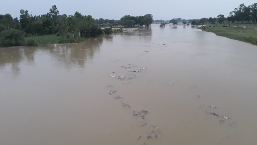 water leval increase