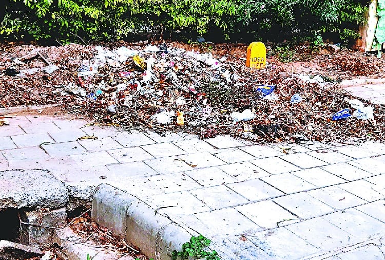 Chandigarh Nagar Nigam Not Serious about Cleanliness in chandigarh, special report