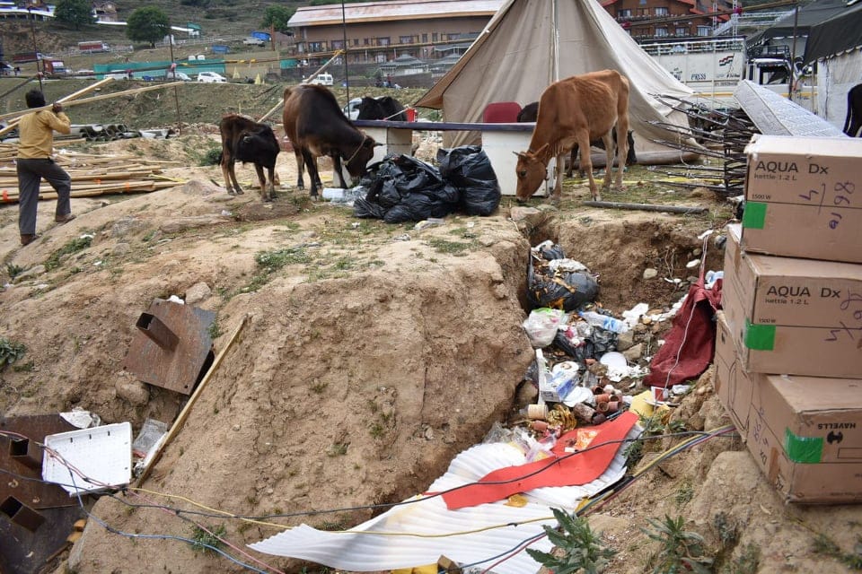 Auli Shahi Shadi: Five lakh rupees will spend for clean garbage after 200 crore marriage