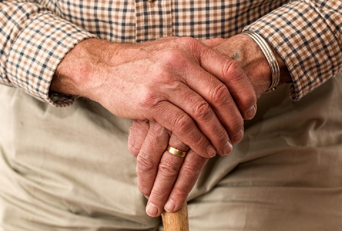 Three months old age pension reached in the accounts of 1.49 lakh elderly people