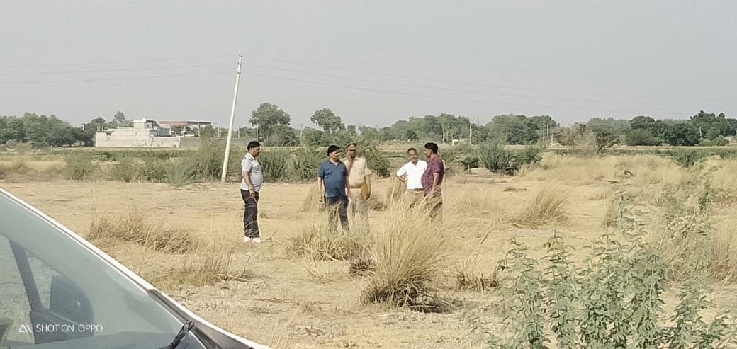 corruption in forest department