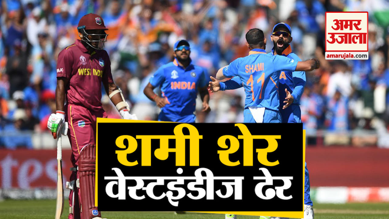 क्रिकेट