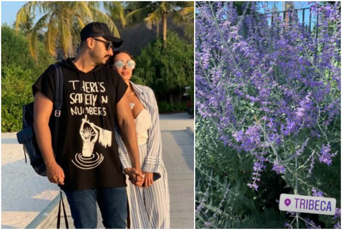 Ajay Devgn to Malaika Arora 10 celebrities on vacation