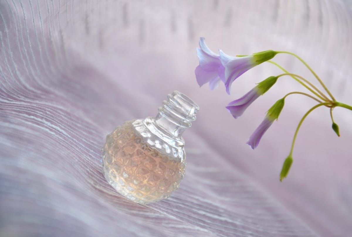 know how to select better perfume for your body odour in summer 2019