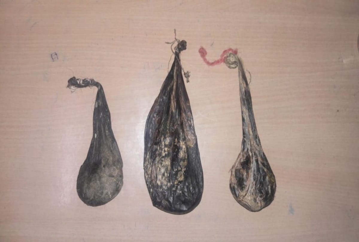 Four arrested for trafficking bile of bear in rampur shimla