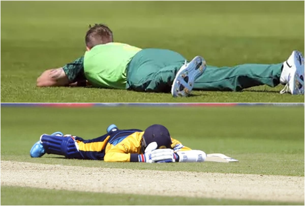 VIDEO: Bee attack on match during South Africa vs Sri Lanka match