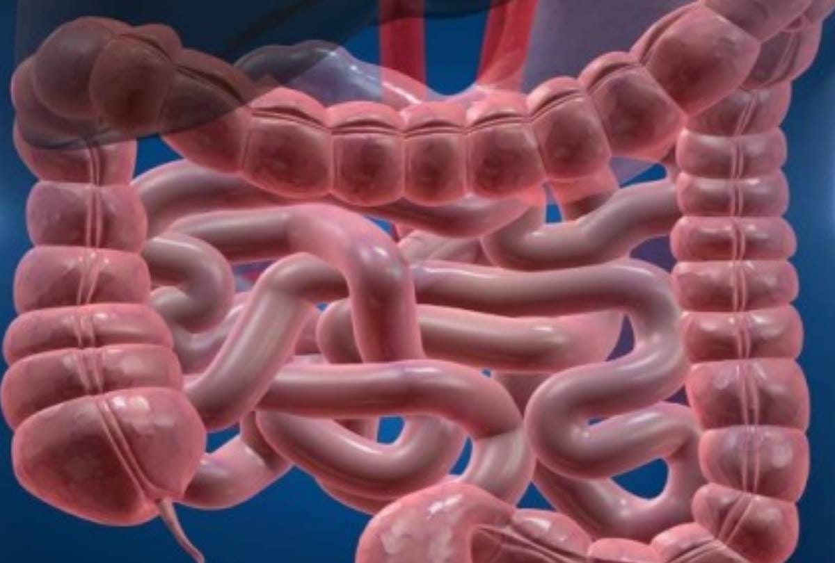 good news for patients of intestine