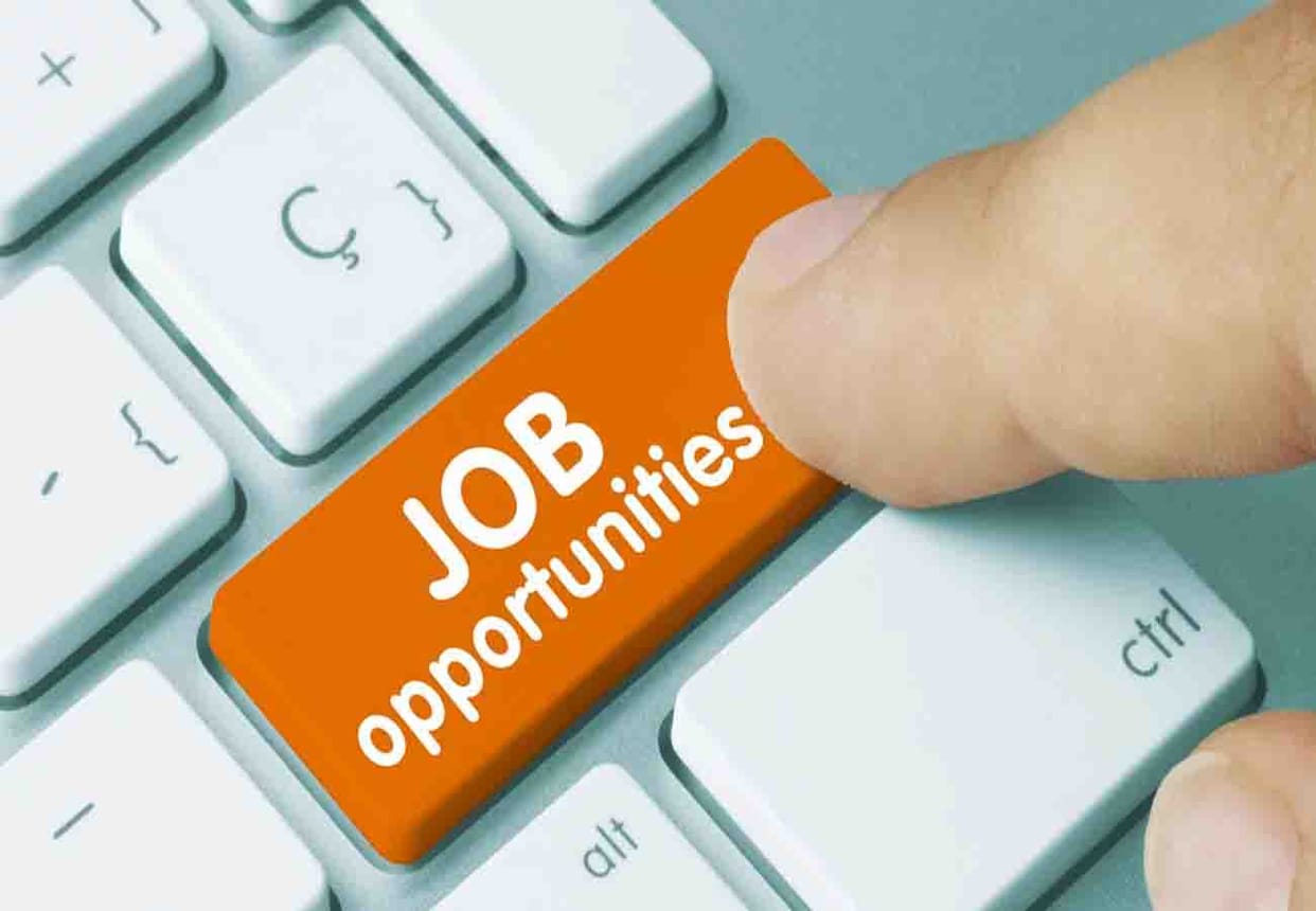 Employment Fair in Service Office, Opportunity to get jobs in 255 post
