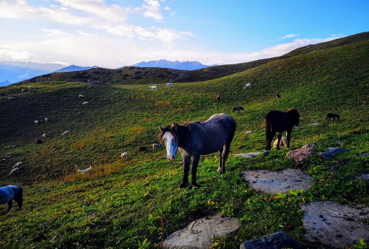 himalayan state himachal pradesh road trip in monsoon 2019