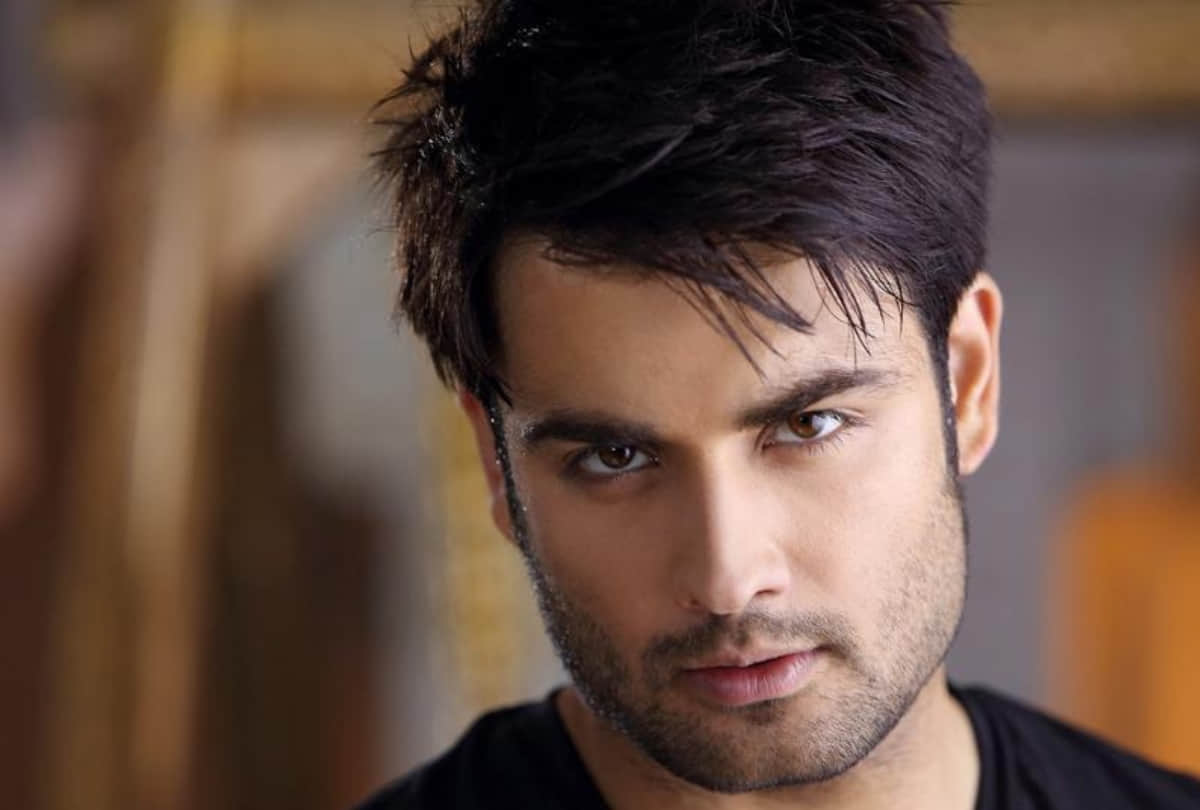 Vivian Dsena Birthday Special Know his life facts