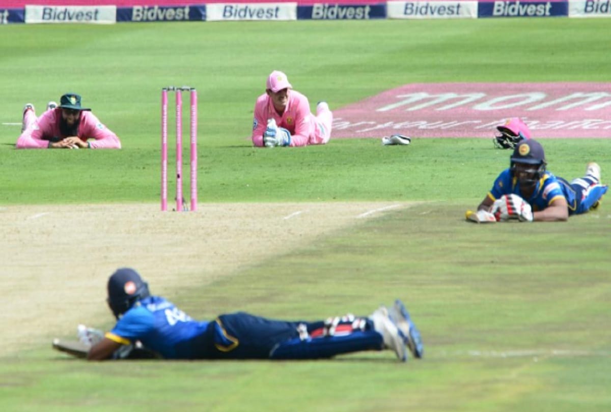 VIDEO: Bee attack on match during South Africa vs Sri Lanka match