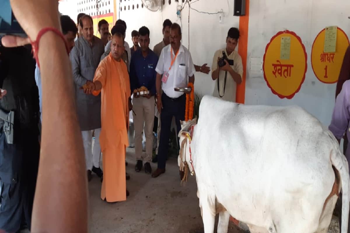 Chief Minister Yogi Adityanath inspected the Goshala in Saharanpur