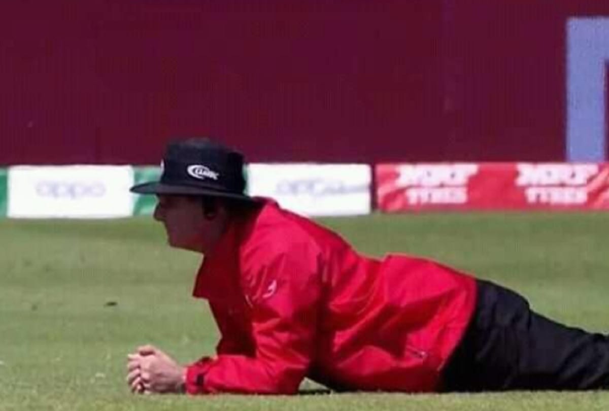 VIDEO: Bee attack on match during South Africa vs Sri Lanka match
