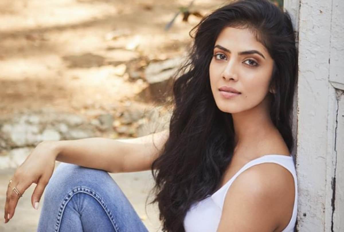 is vicky kaushal and actress malavika mohanan dating each other