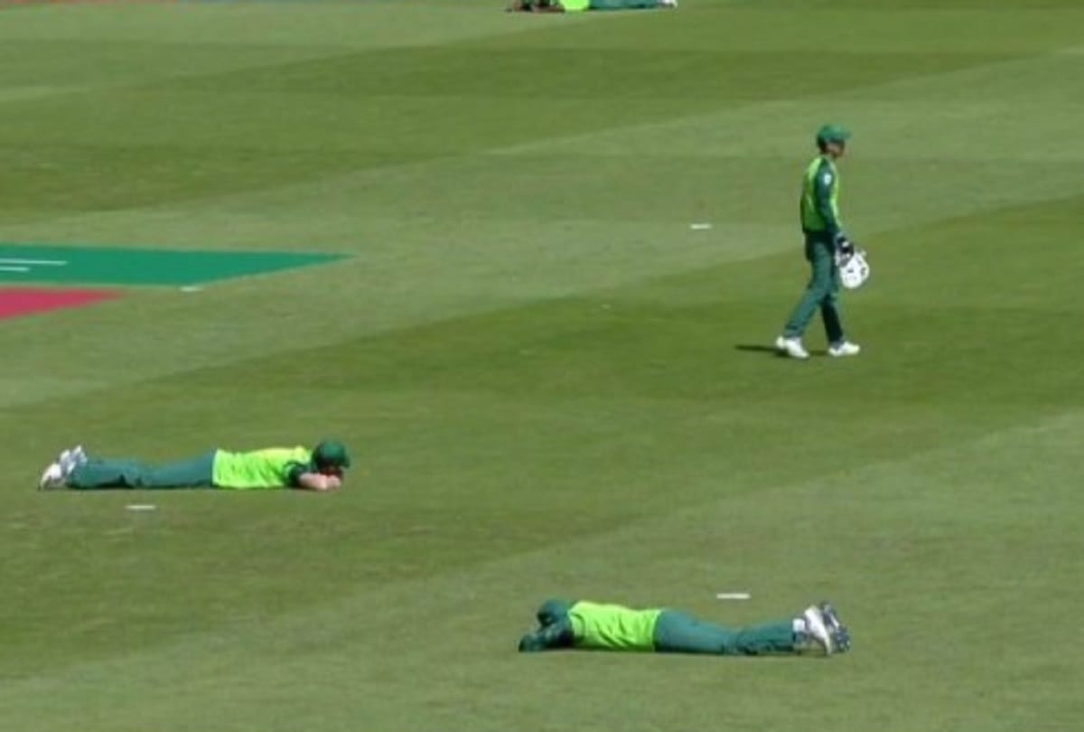 VIDEO: Bee attack on match during South Africa vs Sri Lanka match