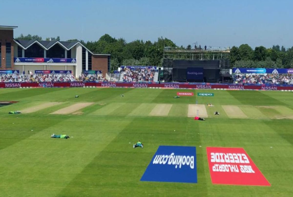 VIDEO: Bee attack on match during South Africa vs Sri Lanka match